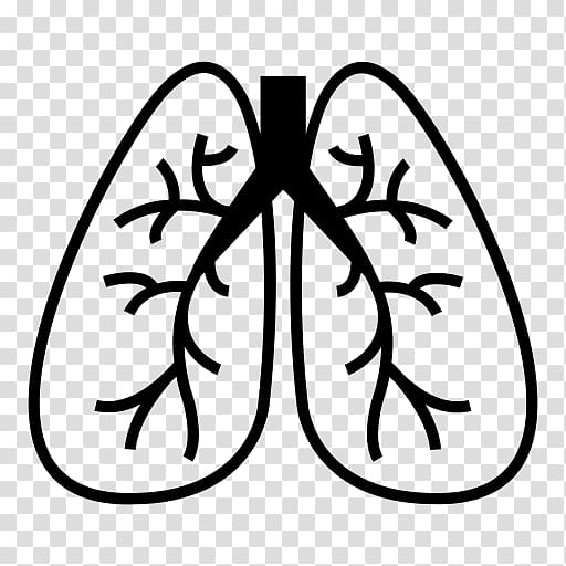 Computer Icons Organ Respiratory system Breathing , nose transparent background PNG clipart