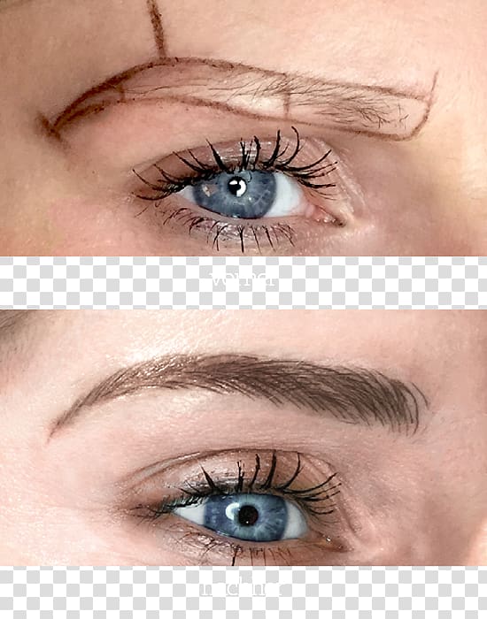 Microblading Eyebrow Permanent makeup Make-up Pigment, eyebrow transparent background PNG clipart