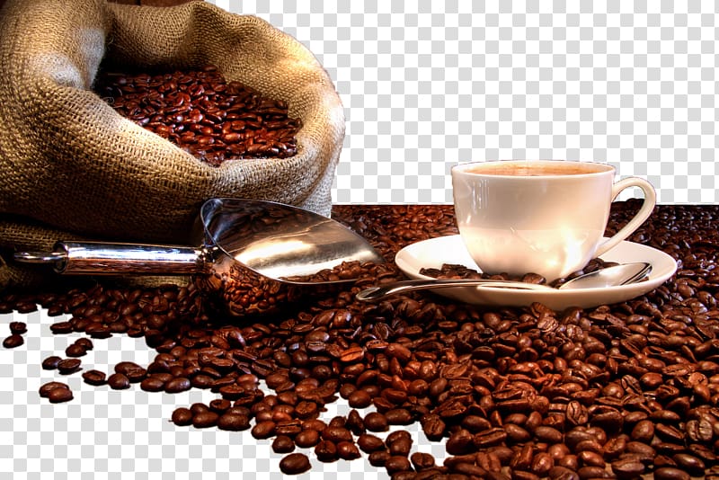 brown coffee beans near white ceramic cup, Kona coffee Espresso Tea Cafe, Coffee beans transparent background PNG clipart