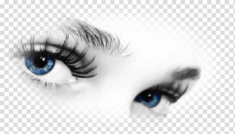 Eye color Human eye Eyelash Ardell Lashes Wispies, Eye transparent background PNG clipart