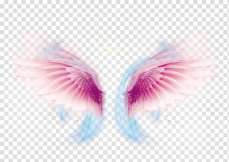 pink wings illustration, Wing Computer file, wing transparent background PNG clipart