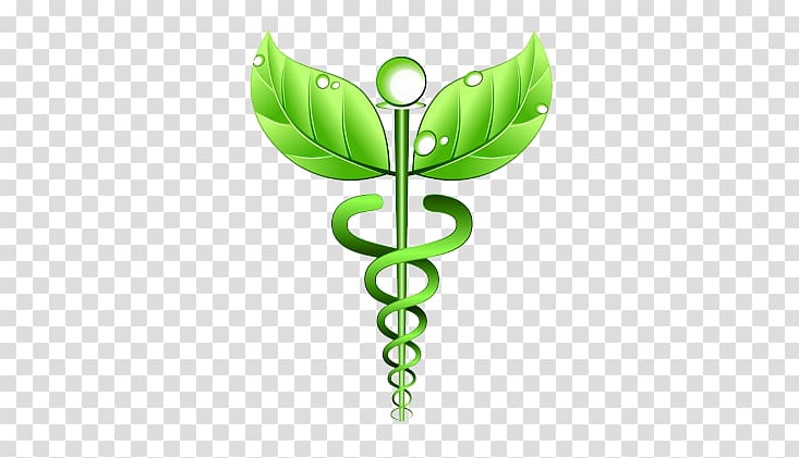 Alternative Health Services Medicine Naturopathy Homeopathy Health Care, health transparent background PNG clipart