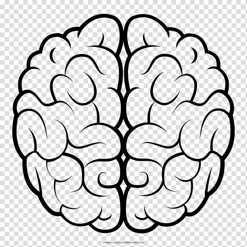 Human brain Drawing Agy, Brain transparent background PNG clipart