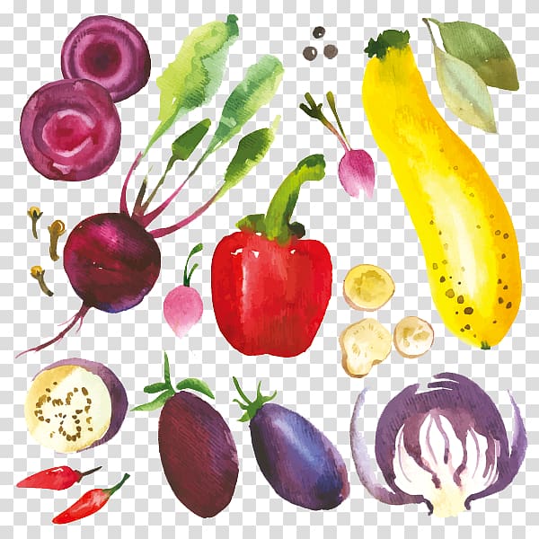 Drawing Herb Illustration, Hand-painted cartoon vegetables transparent background PNG clipart