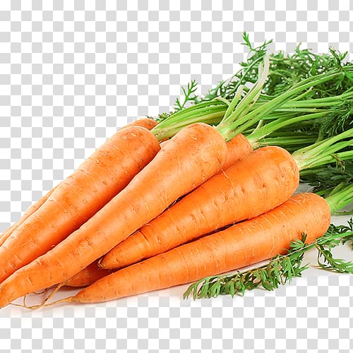 Baby carrot Vegetable Food Health, carrot transparent background PNG clipart