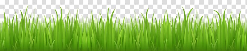 green grass illustration, Lawn Grass Adobe Illustrator, Grass Green transparent background PNG clipart
