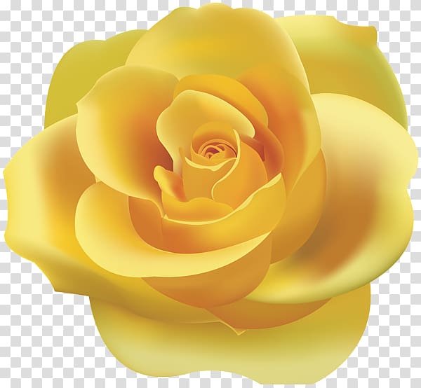 Rose Yellow , yellow rose transparent background PNG clipart