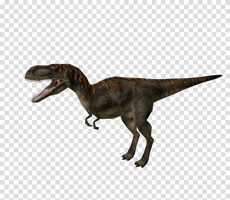 Jurassic Park: Operation Genesis Velociraptor Albertosaurus Tyrannosaurus Video game, jurassic park transparent background PNG clipart