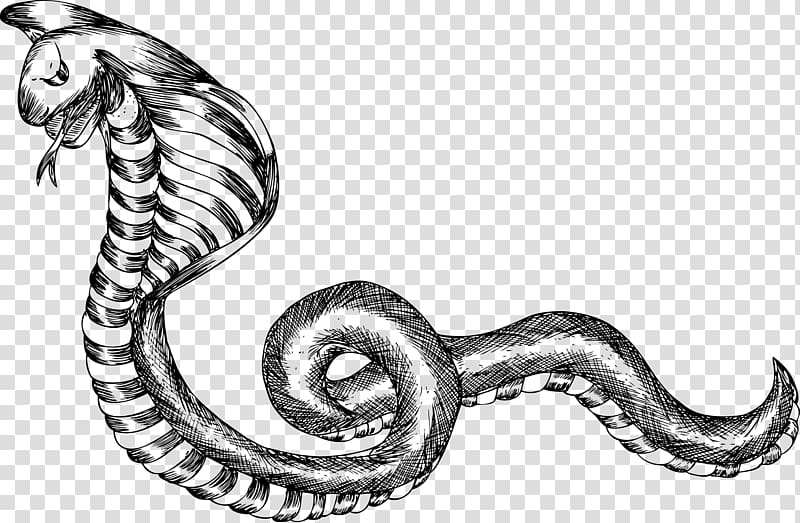 Black and white Snake, mixed transparent background PNG clipart