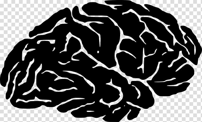 Brain Silhouette Mind Skull Endocannabinoid system, Brain transparent background PNG clipart