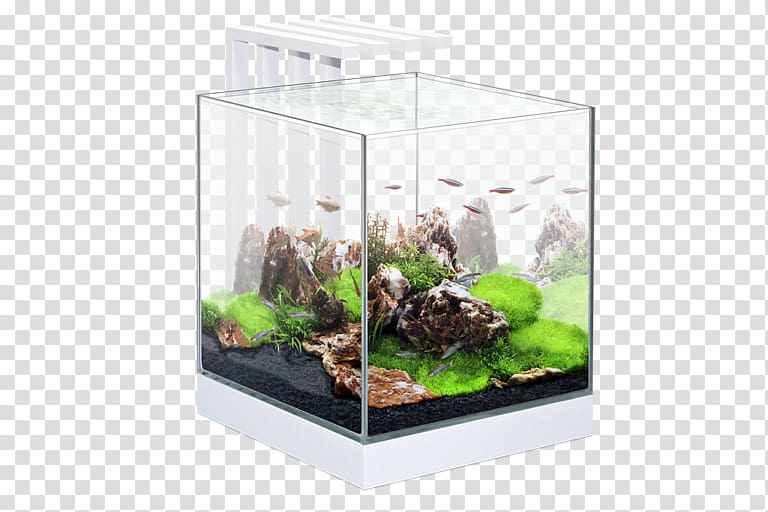 Aquarium lighting Siamese fighting fish Pet Shop, fish transparent background PNG clipart