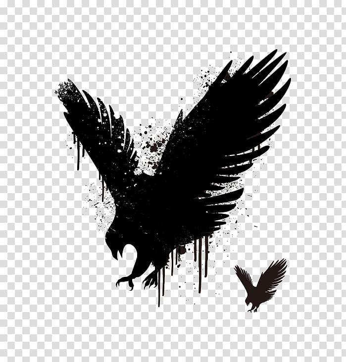 eagle illustration, Hawk Stencil Euclidean Eagle, Eagle wings transparent background PNG clipart
