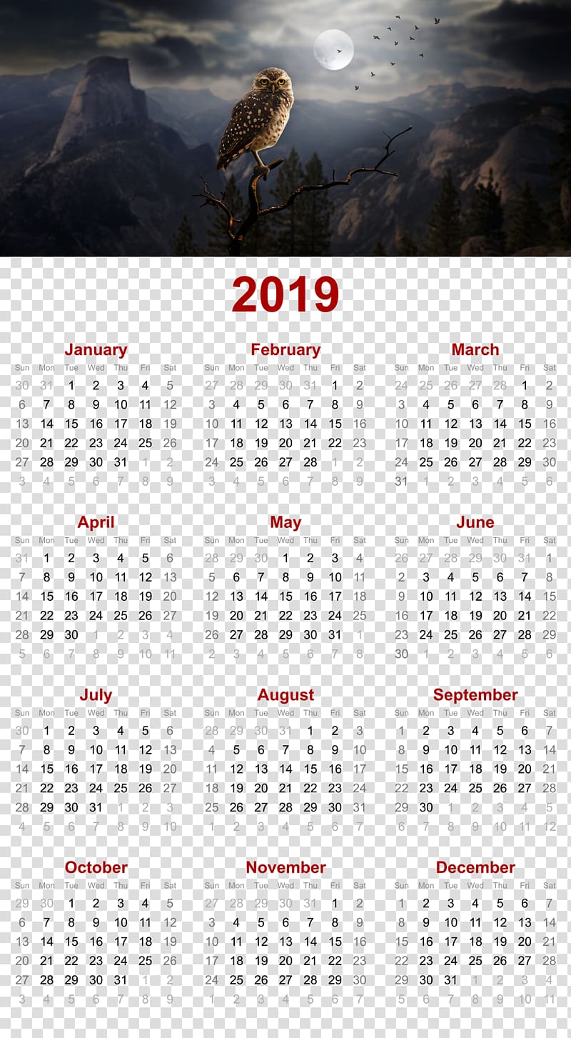 2019 printable calendar, owl in night design., others transparent background PNG clipart