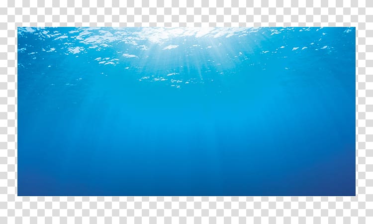 Light fixture Aquarium Price Bitxi, underwater background transparent background PNG clipart