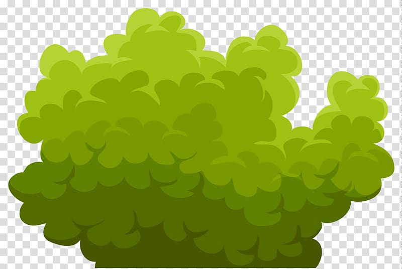 Shrub , Green Bush transparent background PNG clipart