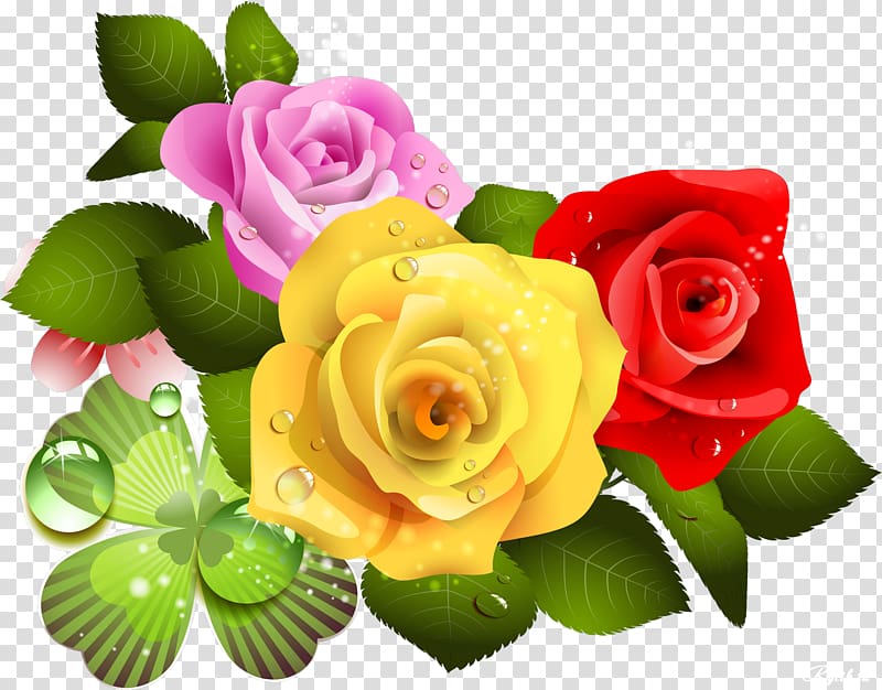 Desktop , beautiful roses transparent background PNG clipart