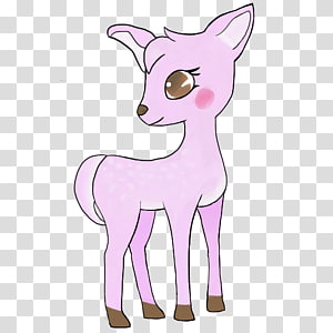 Whiskers Cat Reindeer Horse, Cat transparent background PNG clipart thumbnail