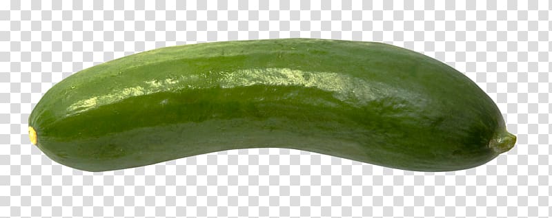green cucumber illustration, Cucumber Vegetable, Cucumber transparent background PNG clipart