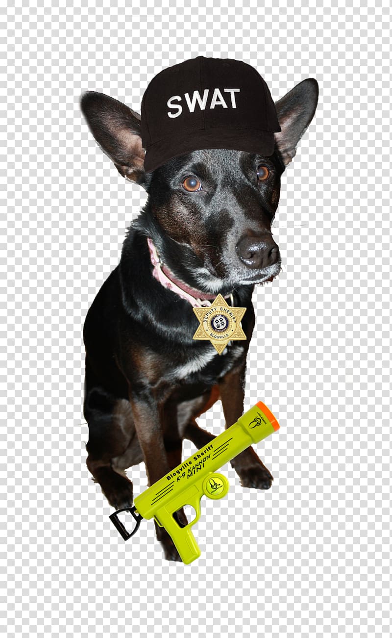 Miniature Pinscher Dog breed Police dog Leash, transparent background PNG clipart