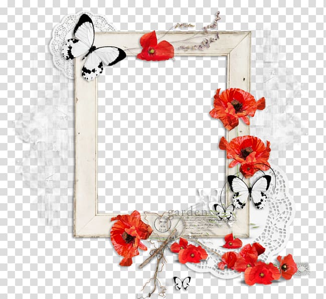 Floral design Cut flowers Rose family Frames, rose transparent background PNG clipart