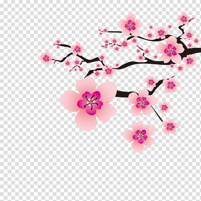 tree with pink flowers , Cherry blossom Plum blossom Flower, Plum flower transparent background PNG clipart