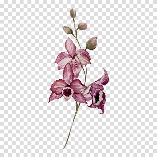 Watercolor painting Drawing Flower Orchids, sea buckthorn transparent background PNG clipart
