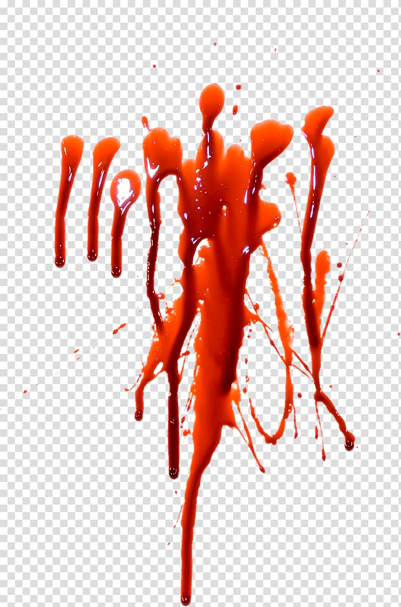 Red Blood Blood Splatter Large Transparent Background Png Clipart Hiclipart