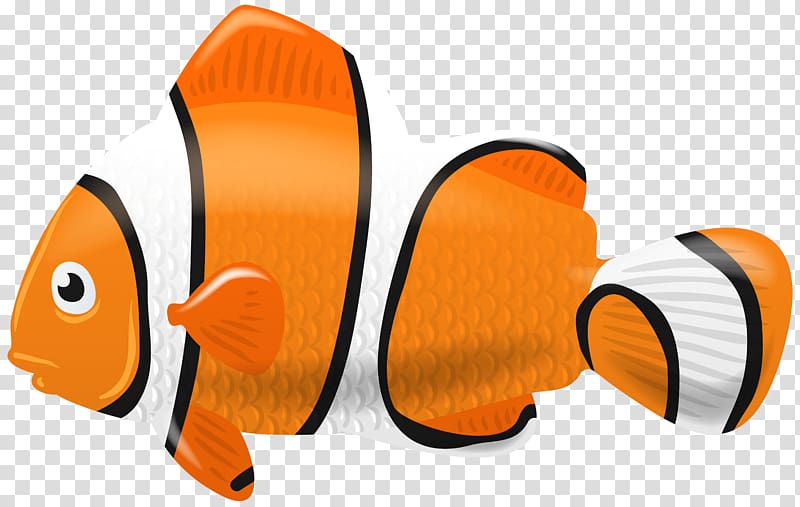 clownfish , Fish Diagram , Fish Clown transparent background PNG clipart