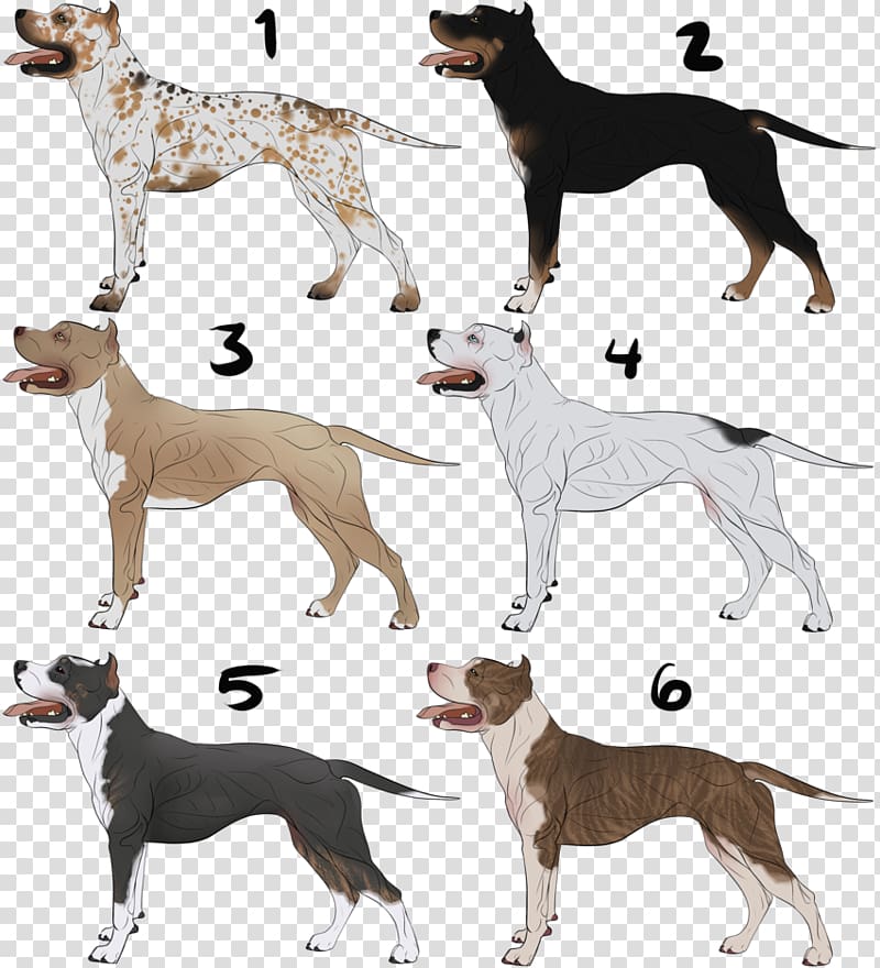 Lurcher Italian Greyhound Whippet Spanish greyhound, American Bully transparent background PNG clipart