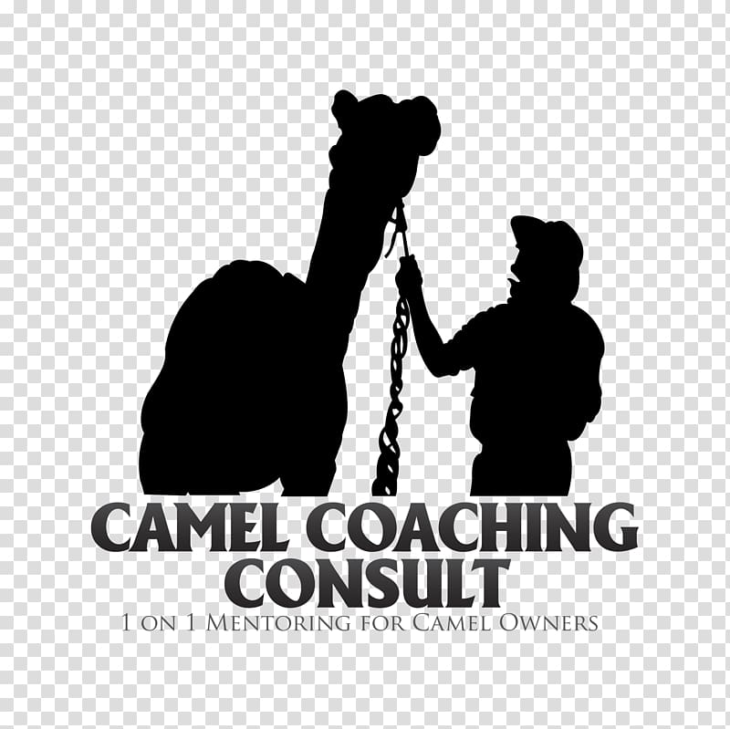 Bactrian camel Australian feral camel Camel milk Saddle, camel transparent background PNG clipart