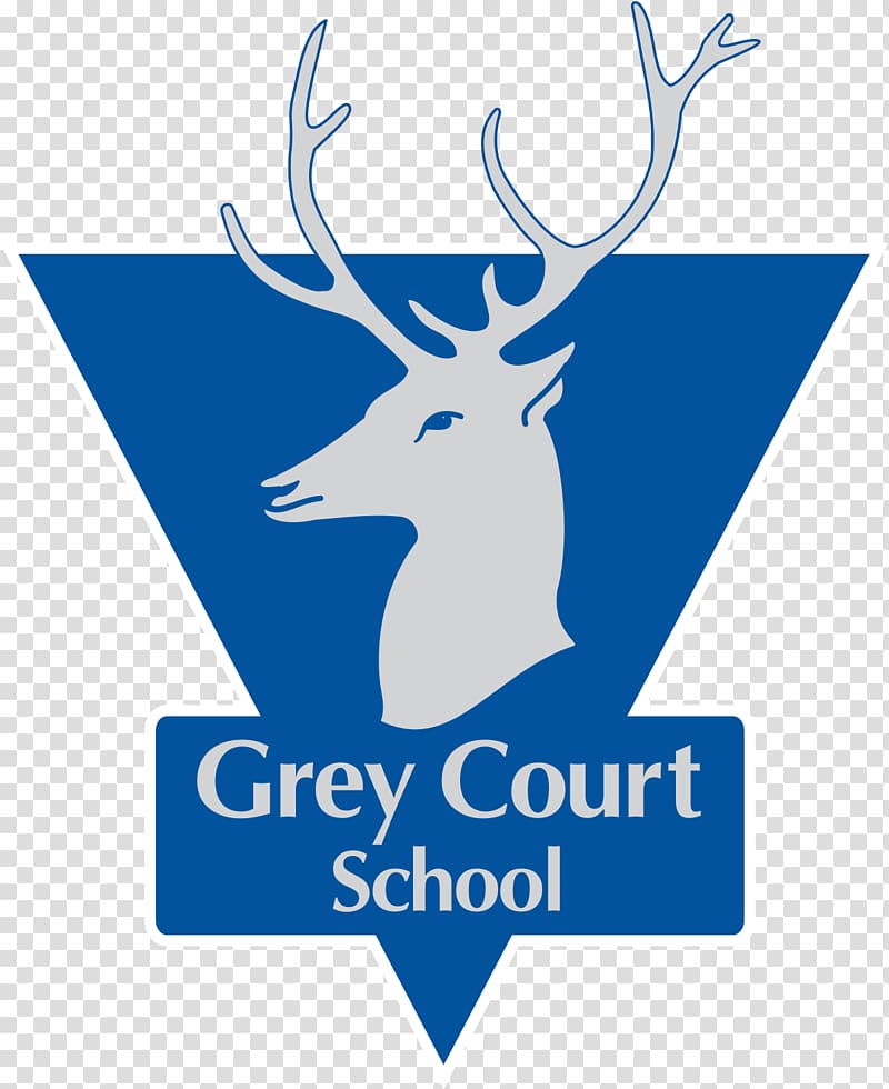 The Ashcombe School Grey Court School Grey Coat Hospital The Warwick School, Redhill, school transparent background PNG clipart