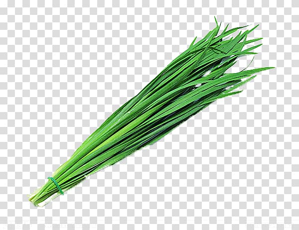 green leafed plant, Garlic chives Garlic chives Onion Leek, green vegetables,Chives transparent background PNG clipart