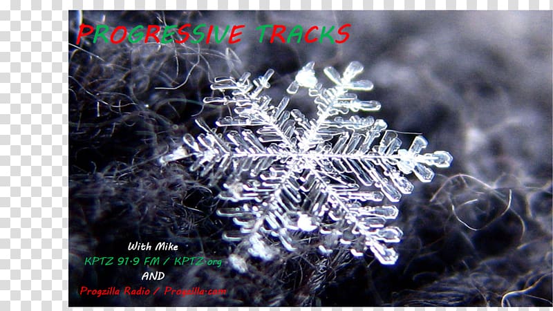 Snowflake Ice crystals Atmosphere of Earth, Snowflake transparent background PNG clipart
