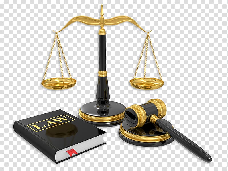 Lawyer Criminal law Bankruptcy Law firm, lawyer transparent background PNG clipart