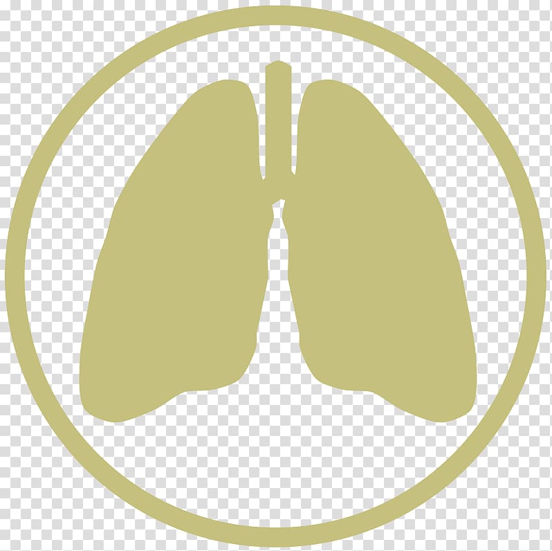 Congenital diaphragmatic hernia Lung Organ Birth defect, lung transparent background PNG clipart