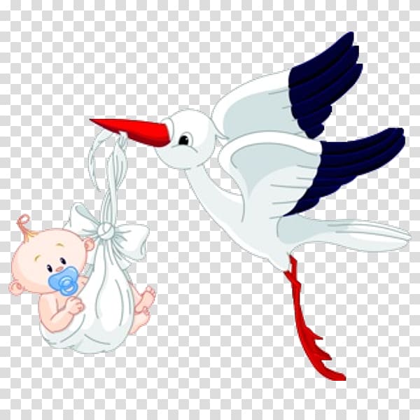 Bird Infant , animal stork transparent background PNG clipart
