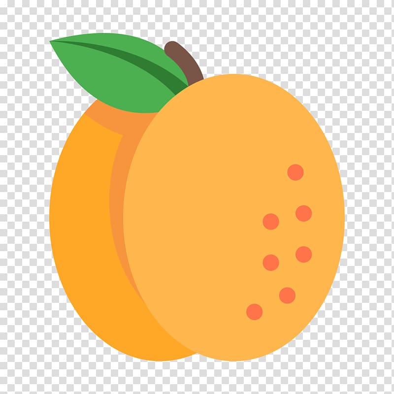 Juice Dried Fruit Apricot Computer Icons, mango transparent background PNG clipart