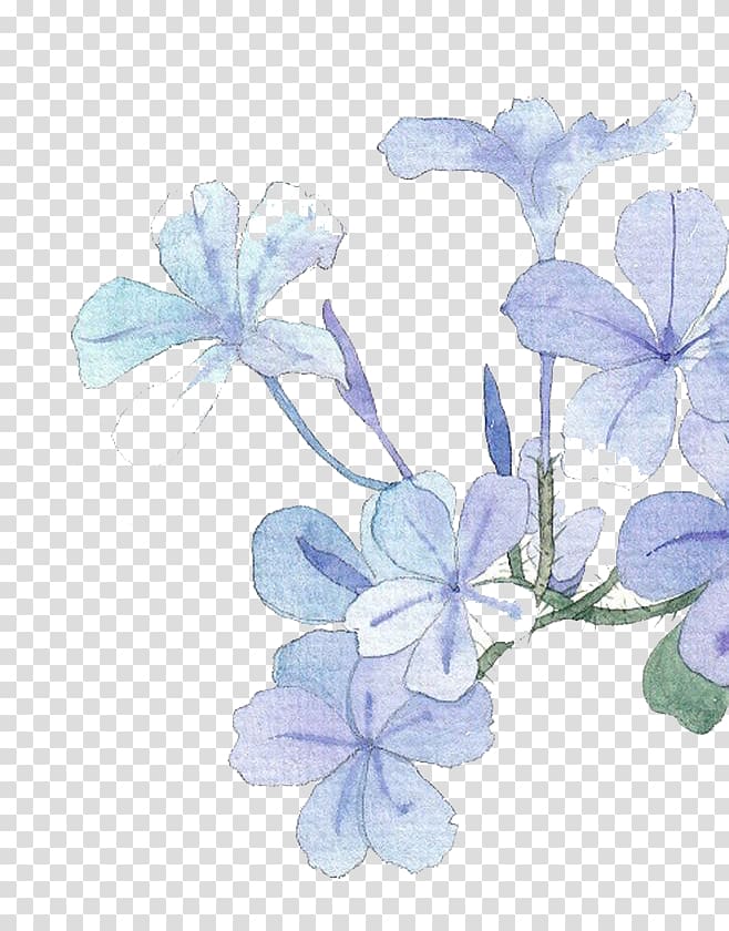 blue lily-of-the-Nile flower illustration, Watercolor painting Flower Baidu Tieba, Watercolor flowers transparent background PNG clipart