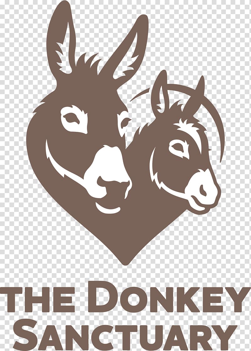 The Donkey Sanctuary Devon Horse Sidmouth Animal sanctuary, donkey transparent background PNG clipart
