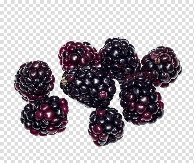 Boysenberry Loganberry Tayberry Raspberry Blackberry, raspberry transparent background PNG clipart