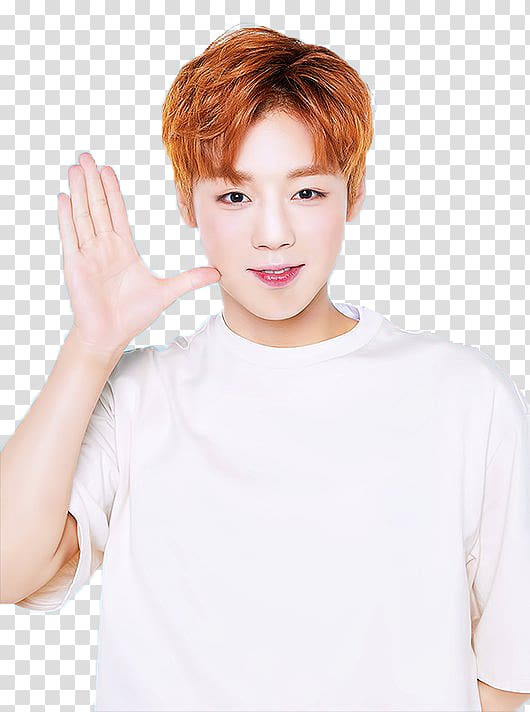 Wanna One Produce 101 Season 2 Innisfree 0+1=1 (I Promise You), others transparent background PNG clipart