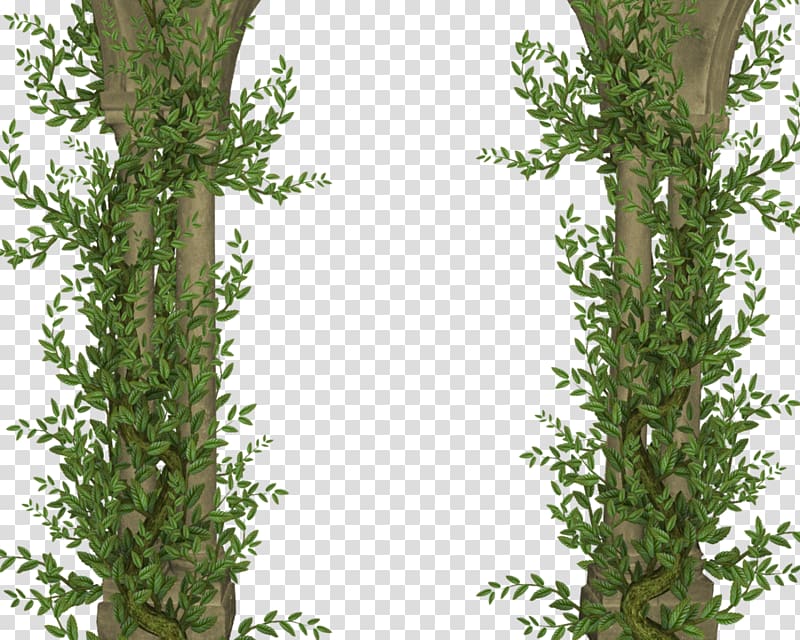 green leafed plants, Tree Column , PILLAR transparent background PNG clipart