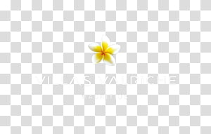 Desktop Computer Flowering plant Font, Computer transparent background PNG clipart thumbnail