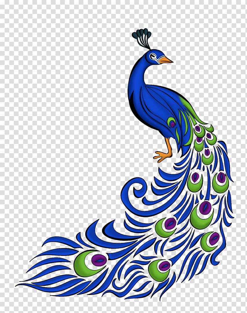 Pavo Desktop Drawing , feather transparent background PNG clipart