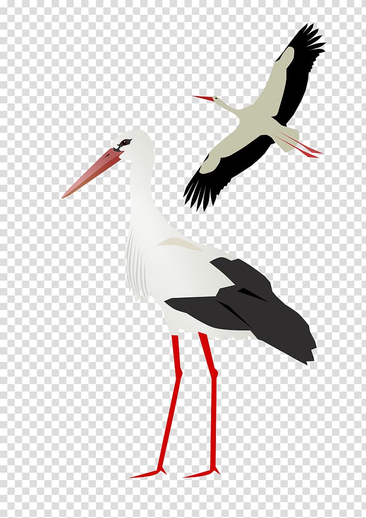 White stork , stork transparent background PNG clipart