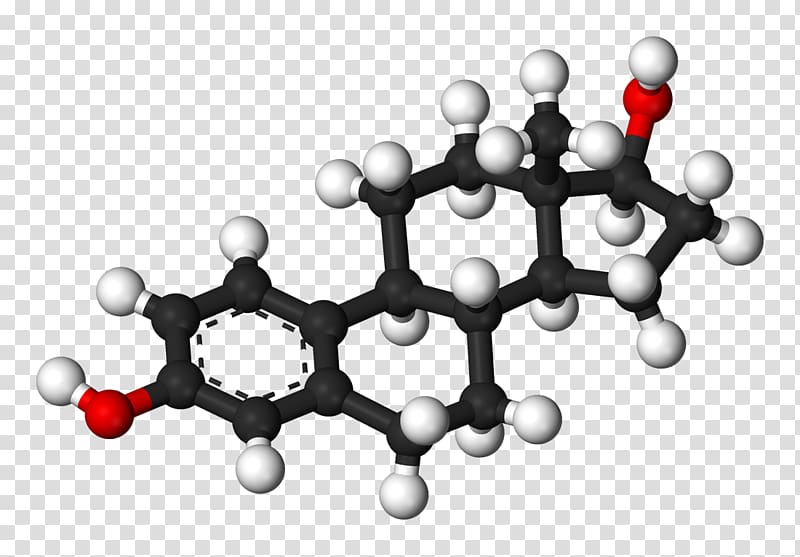Estradiol Sex steroid Estrogen Hormone replacement therapy, L transparent background PNG clipart