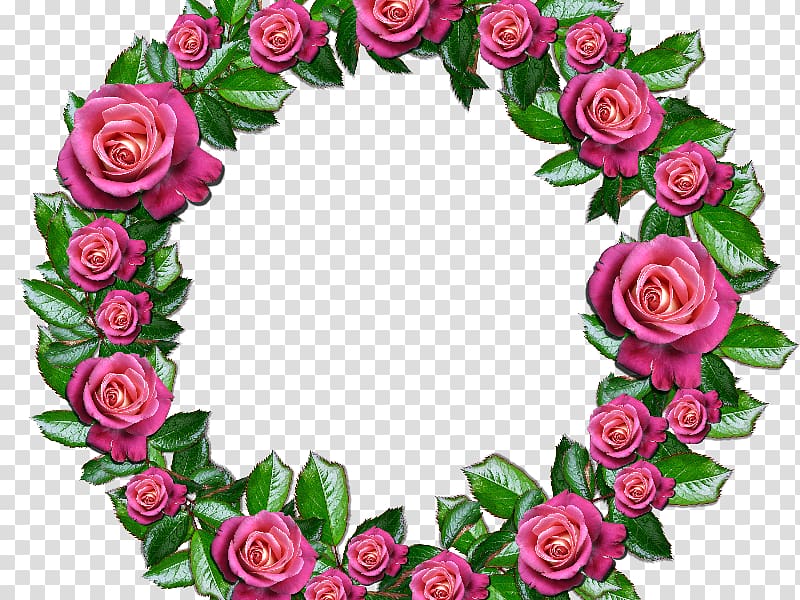 Garden roses Wreath Floral design, rose transparent background PNG clipart