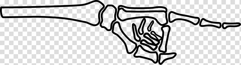 Hand Human skeleton Finger , Skeleton Hand transparent background PNG clipart