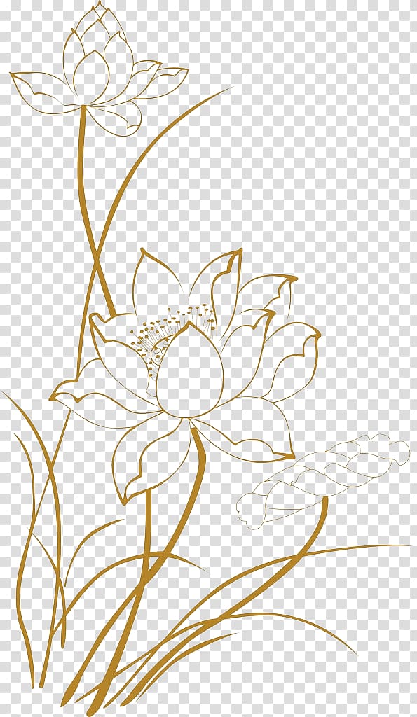 lotus line drawings transparent background PNG clipart