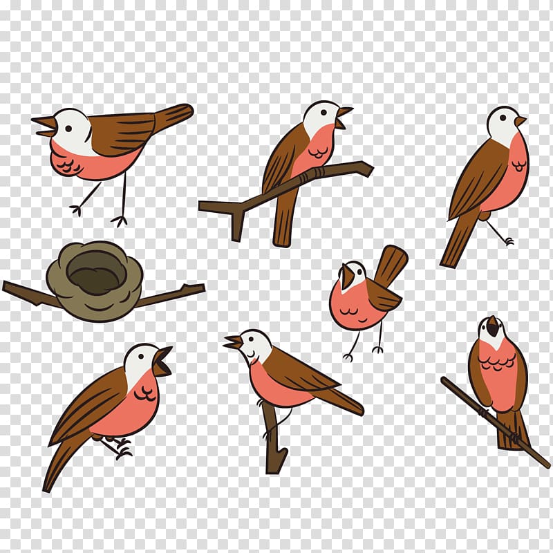 Bird Swallow, Eight kinds of birds posture transparent background PNG clipart